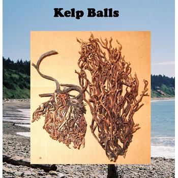 Assorted Kelp Balls .50 cu. ft. box